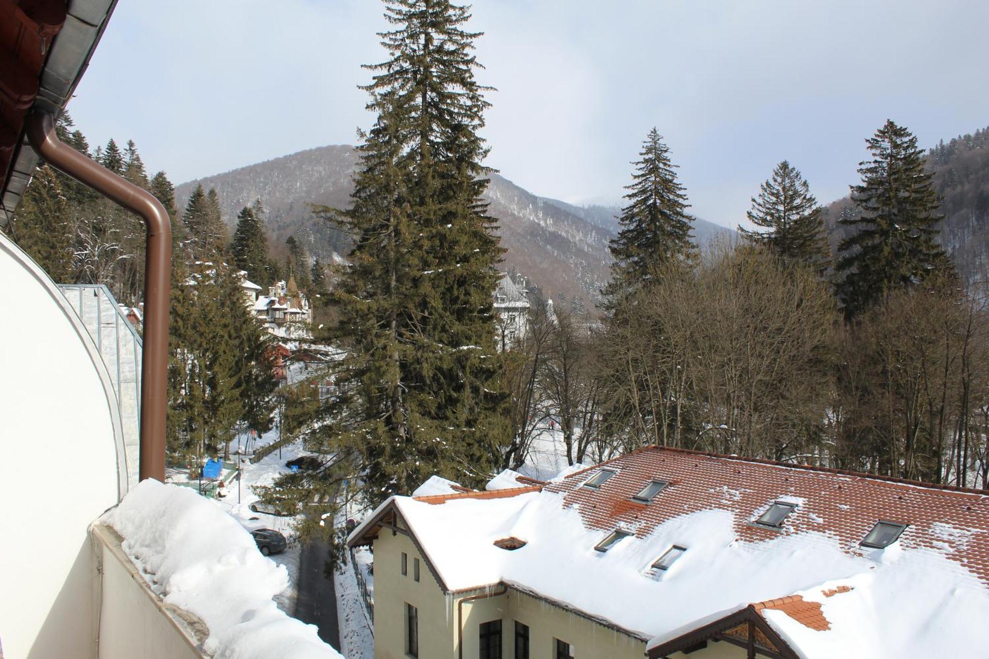 Central Park View Sinaia Exterior photo