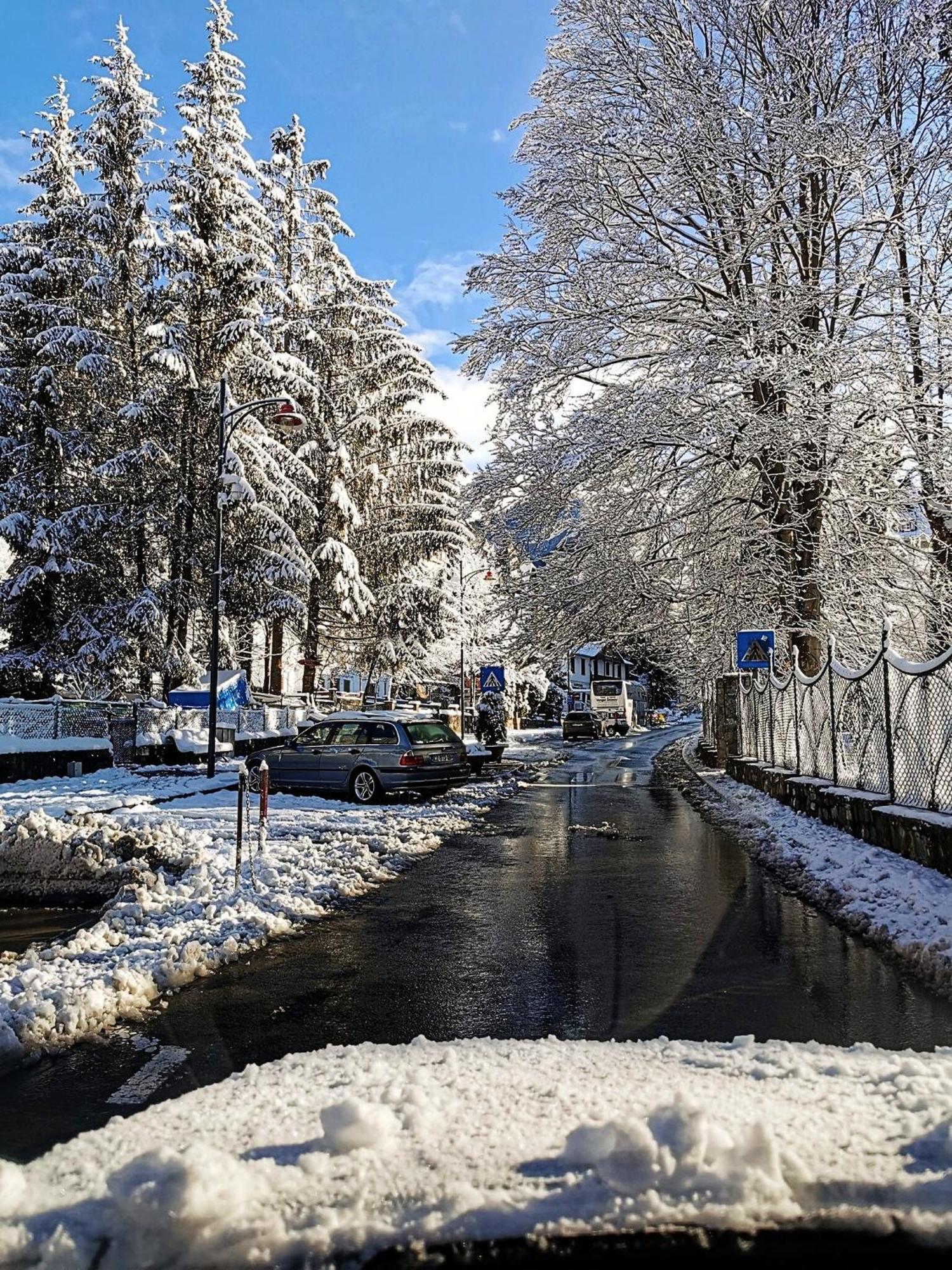 Central Park View Sinaia Exterior photo